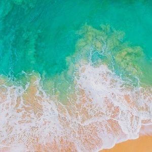 Meet your Posher, Temeka